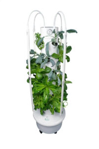 Hydroponic Tower Garden