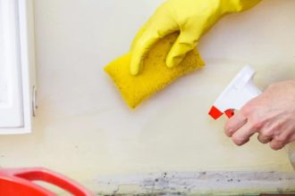 Mold removal