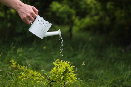 metal watering can