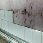 Signs You Need Mold Removal