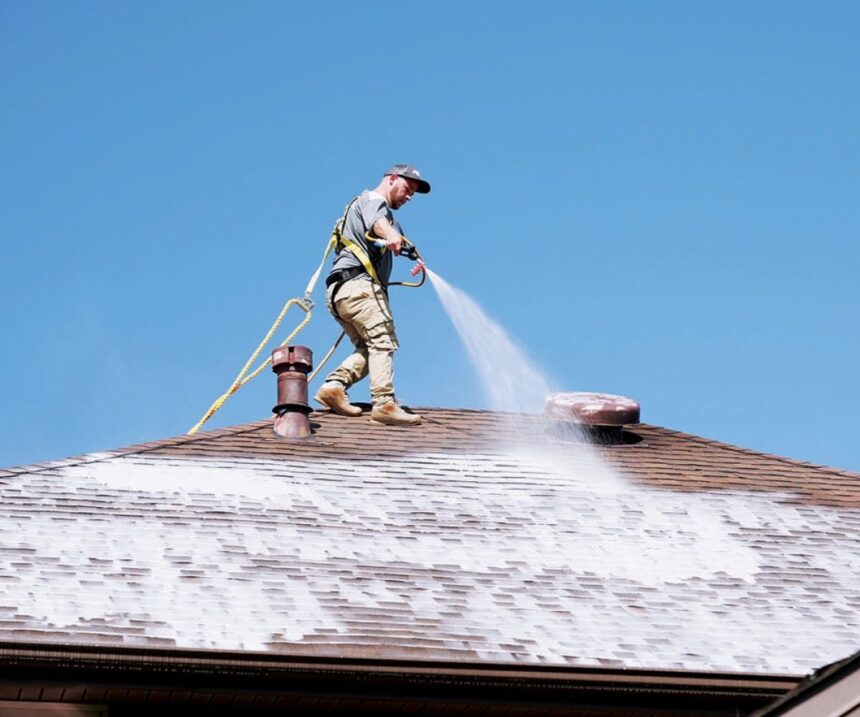 Roof washing service