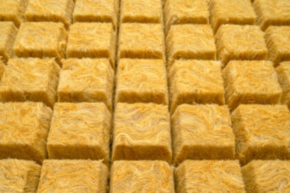 Rockwool Cubes