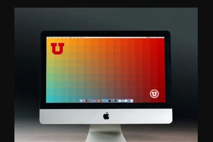 branding and design services